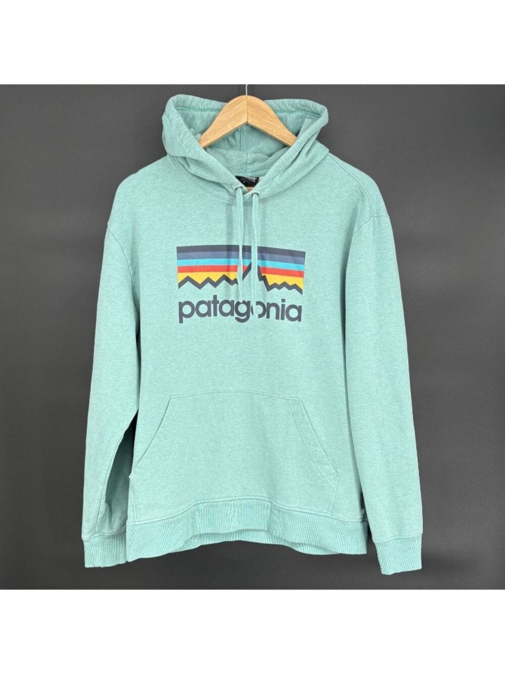 Patagonia Mens Line Logo Midweight Hoodie M Turquoise Organic Cotton Blend 39456